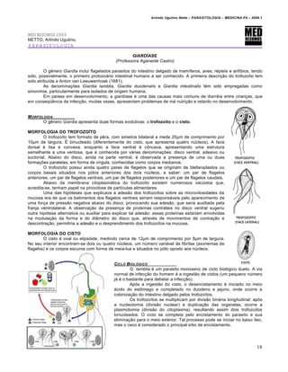 Arlindo Ugulino Netto – PARASITOLOGIA – MEDICINA P4 – 2009.1




MED RESUMOS 2009
NETTO, Arlindo Ugulino.
PARASITOLOGIA

                                                     GIARDÍASE
                                             (Professora Aganeide Castro)

         O gênero Giardia inclui flagelados parasitos do intestino delgado de mamíferos, aves, répteis e anfíbios, tendo
sido, possivelmente, o primeiro protozoário intestinal humano a ser conhecido. A primeira descrição do trofozoíto tem
sido atribuída a Anton van Leeuwenhoek (1681).
         As denominações Giardia lamblia, Giardia duodenalis e Giardia intestinalis têm sido empregadas como
sinonímia, particularmente para isolados de origem humana.
         Em países em desenvolvimento, a giardíase é uma das causas mais comuns de diarréia entre crianças, que
em conseqüência da infecção, muitas vezes, apresentam problemas de má nutrição e retardo no desenvolvimento.


M ORFOLOGIA
       O gênero Giardia apresenta duas formas evolutivas: o trofozoíto e o cisto.

MORFOLOGIA DO TROFOZOÍTO
        O trofozoíto tem formato de pêra, com simetria bilateral e mede 20µm de comprimento por
10µm de largura. É binucleado (diferentemente do cisto, que apresenta quatro núcleos). A face
dorsal é lisa e convexa, enquanto a face ventral é côncava, apresentando uma estrutura
semelhante a uma ventosa, que é conhecida por várias denominações: disco ventral, adesivo ou
suctorial. Abaixo do disco, ainda na parte ventral, é observada a presença de uma ou duas
formações paralelas, em forma de vírgula, conhecidas como corpos medianos.
        O trofozoíto possui ainda quatro pares de flagelos que se originam de blefaroplastos ou
corpos basais situados nos pólos anteriores dos dois núcleos, a saber: um par de flagelos
anteriores, um par de flagelos ventrais, um par de flagelos posteriores e um par de flagelos caudais.
        Abaixo da membrana citoplasmática do trofozoíto existem numerosos vacúolos que,
acredita-se, tenham papel na pinocitose de partículas alimentares.
        Uma das hipóteses que explicava a adesão dos trofozoítos sobre as microvilosidades da
mucosa era de que os batimentos dos flagelos ventrais seriam responsáveis pelo aparecimento de
uma força de pressão negativa abaixo do disco, provocando sua adesão, que seria auxiliada pela
franja ventrolateral. A observação da presença de proteínas contráteis no disco ventral sugeriu
outra hipótese alternativa ou auxiliar para explicar tal adesão: essas proteínas estariam envolvidas
na modulação da forma e do diâmetro do disco que, através de movimentos de contração e
descontração, permitiria a adesão e o desprendimento dos trofozoítos na mucosa.

MORFOLOGIA DO CISTO
        O cisto é oval ou elipsóide, medindo cerca de 12µm de comprimento por 8µm de largura.
No seu interior encontram-se dois ou quatro núcleos, um número variável de fibrilas (axonemas de
flagelos) e os corpos escuros com forma de meia-lua e situados no pólo oposto aos núcleos.


                                            CICLO BIOL•GICO
                                                    G. lamblia é um parasito monoxeno de ciclo biológico dueto. A via
                                            normal de infecção do homem é a ingestão de cistos (um pequeno número
                                            já é o bastante para debelar a infecção).
                                                    Após a ingestão do cisto, o desencistamento é iniciado no meio
                                            ácido do estômago e completado no duodeno e jejuno, onde ocorre a
                                            colonização do intestino delgado pelos trofozoítos.
                                                    Os trofozoítos se multiplicam por divisão binária longitudinal: após
                                            a nucleotomia (divisão nuclear) e duplicação das organelas, ocorre a
                                            plasmotomia (divisão do citoplasma), resultando assim dois trofozoítos
                                            binucleados. O ciclo se completa pelo encistamento do parasito e sua
                                            eliminação para o meio exterior. Tal processo pode se iniciar no baixo íleo,
                                            mas o ceco é considerado o principal sítio de encistamento.




                                                                                                                        18
 