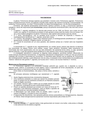 Arlindo Ugulino Netto – PARASITOLOGIA – MEDICINA P4 – 2009.1




MED RESUMOS 2009
NETTO, Arlindo Ugulino.
PARASITOLOGIA

                                                 TRICOMONÍASE

        O gênero Trichomonas abrange espécies que parasitam o homem como Trichomonas vaginalis, Trichomonas
tenax e Pentatrichomonas hominis. As espécies incluídas neste capítulo são membros da família Trichomonadidae, da
subfamília Trichomonadinae, da ordem Trichomonadida, da classe Zoomastigophorea, e do filo Sarcomastigophora.
        Entretanto, das espécies apresentadas anteriormente, apenas a primeira, ou seja, o Trichomonas vaginalis é
patogênico, sendo ele responsável pela tricomoníase, doença sexualmente transmissível (DST) não-viral mais comum
no mundo.
     A espécie T. vaginalis, patogênica, foi descrita pela primeira vez em 1836, por Donné, que a isolou de uma
        mulher com vaginite. É comumente encontrado no trato genital e urinário tanto da mulher como do homem. Por
        ser a única espécie patogênica do gênero Trichomonas, este capítulo será exclusivo para seu estudo.
     O T. tenax, não-patogênico, vive na cavidade bucal humana e também de chipanzés e macacos. É
        morfologicamente semelhante ao T. vaginalis, sendo bem menor.
     O T. hominis, não-patogênico, habita o trato intestinal humano. É morfologicamente semelhante ao T. vaginalis,
        apresentando, entretanto, 5 flagelos anterior, ao invés de 4.
     O T. fecalis foi encontrado em um único paciente, não existindo certeza se o homem seria seu hospedeiro
        primário.

        A transmissão do T. vaginalis se dá, majoritariamente, por contato sexual, embora seja descrito na literatura
sua transmissão via objetos íntimos como toalhas, roupas, vasos sanitários. Entretanto, estes mecanismos de
transmissão são muito questionados uma vez que este protozoário não apresenta forma cística, ou seja, apresenta
apenas trofozoíto, o qual não apresenta tanta resistência no meio adverso como a forma cística apresenta. ´
        A investigação laboratorial é essencial na diagnose dessa patogenia, permitindo também diferenciá-la de
outras doenças sexualmente transmissíveis. O diagnóstico laboratorial é indispensável e é feito por meio de amostras
coletadas das mucosas e observadas por microscópio. É importante saber também que as espécies de Trichomonas
são morfologicamente idênticas, e para diferenciar uma da outra, é necessário tomar conhecimento da procedência do
material: material do trato genital (T. vaginalis), da mucosa oral (T. tenax) e da mucosa intestinal (T. hominis).


M ORFOLOGIA DO T RICHOMONAS VAGINALIS
         O Trichomonas vaginalis é um protozoário unicelular polimorfo que, quando vivo, é elipsóide ou oval e,
algumas vezes, esférico. O protozoário é muito plástico, tendo a capacidade de formar pseudópodes, os quais são
usados para capturar os alimentos e se fixar em partículas sólidas.
         Como todos os tricomonadídeos, não possui a forma cística, somente a
trofozoítica.
         As principais estruturas morfológicas que caracterizam o T. vaginalis
são:
      Quatro flagelos anteriores livres, de tamanhos desiguais;
      Uma membrana ondulante e a costa que nascem do complexo granular
         basal. A margem livre da membrana consiste em um filamento acessório
         fixado ao flagelo recorrente;
      Um axóstilo, estrutura rígida e hialina que se projeta através do centro
         do organismo, prolongando-se até a extremidade posterior;
      Possui um aparelho parabasal que consiste num corpo em forma de "V",
         associado a dois filamentos parabasais, onde se dispõe o aparelho de
         Golgi composto por vesículas paralelas achatadas;
      O blefaroplasto que está situado antes do axóstilo, sobre o qual se
         inserem os flagelos, e coordena os seus movimentos.
      É desprovido de mitocôndrias, mas apresenta grânulos densos paraxostilares ou hidrogenossomos, dispostos
         em fileiras. Estes hidrogenossomos apresentam enzimas responsáveis pela síntese de ATP.


BIOLOGIA
    Local de infecção: o T. vaginalis habita o trato genitourinário do homem e da mulher, onde produz a infecção
       e não sobrevive fora do sistema urogenital.


                                                                                                                      21
 