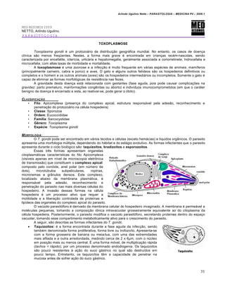 Arlindo Ugulino Netto – PARASITOLOGIA – MEDICINA P4 – 2009.1




MED RESUMOS 2009
NETTO, Arlindo Ugulino.
PARASITOLOGIA

                                                  TOXOPLASMOSE

        Toxoplasma gondii • um protozo†rio de distribui€ƒo geogr†fica mundial. No entanto, os casos de doen€a
cl‡nica sƒo menos freqŽentes. Nestes, a forma mais grave • encontrada em crian€as rec•m-nascidas, sendo
caracterizada por encefalite, icter‡cia, urtic†ria e hepatomegalia, geralmente associada a coriorretinete, hidrocefalia e
microcefalia, com altas taxas de morbidade e mortalidade.
        A toxoplasmose • uma zoonose e a infec€ƒo • muito frequente em v†rias esp•cies de animais: mam‡feros
(principalmente carneiro, cabra e porco) e aves. O gato e alguns outros fel‡deos sƒo os hospedeiros definitivos ou
completos e o homem e os outros animais (aves) sƒo os hospedeiros intermedi†rios ou incompletos. Somente o gato •
capaz de eliminar as formas morfol…gicas de resist‚ncia nas fezes.
        A gravidade desta doen€a est† relacionada com gestantes (fase aguda, pois pode causar complica€„es na
gravidez: parto prematuro, mal-forma€„es cong‚nitas ou aborto) e indiv‡duos imunocomprometidos (em que o car†ter
benigno da doen€a • encerrado e esta, ao reativar-se, pode gerar o …bito).

CLASSIFICA‚ƒO
   • Filo: Apicomplexa (presen€a do complexo apical, estrutura respons†vel pela adesƒo, reconhecimento e
       penetra€ƒo do protozo†rio na c•lula hospedeira)
   • Classe: Sporozoa
   • Ordem: Eucoccididae
   • Família: Sarcocystidae
   • Gênero: Toxoplasma
   • Espécie: Toxoplasma gondii

M ORFOLOGIA
         O T. gondii pode ser encontrado em v†rios tecidos e c•lulas (exceto hem†cias) e l‡quidos orgŒnicos. O parasito
apresenta uma morfologia m‹ltipla, dependendo do h†bitat e do est†gio evolutivo. As formas infectantes que o parasito
apresenta durante o ciclo biol…gico sƒo: taquizoítos, bradizoítos e esporozoítos.
         Essas tr‚s formas apresentam organelas
citoplasm†ticas caracter‡sticas do filo Apicomplexa
(vis‡veis apenas em n‡vel de microscopia eletrŠnica
de transmissƒo) que constituem o complexo apical:
composto pelo con…ide, anel polar (em n‹mero de
dois),     microt‹bulos    subpeliculares,     roptrias,
micronemas e grŒnulos densos. Este complexo,
localizado abaixo da membrana plasm†tica, •
respons†vel pela adesƒo, reconhecimento e
penetra€ƒo do parasito nas mais diversas c•lulas do
hospedeiro. A invasƒo dessas formas na c•lula
hospedeira • um processo ativo que requer a
motilidade e a libera€ƒo controlada de prote‡nas e
lip‡deos das organelas do complexo apical do parasito.
         O vac‹olo parasit…foro • derivado da membrana celular do hospedeiro invaginado. A membrana • perme†vel a
mol•culas pequenas, tomando a composi€ƒo iŠnica intravacuolar grosseiramente equivalente ao do citoplasma da
c•lula hospedeira. Posteriormente, o parasito modifica o vac‹olo parasit…foro, secretando prote‡nas dentro do espa€o
vacuolar, tomando esse compartimento metabolicamente ativo para o crescimento do parasito.
         A seguir, sƒo descritas as formas infectantes do T. gondii.
      Taquizoítos: • a forma encontrada durante a fase aguda da infec€ƒo, sendo
         tamb•m denominada forma proliferativa, forma livre ou trofozo‡to. Apresenta-se
         com a forma grosseira de banana ou meia-lua, com uma das extremidades
         mais afilada e a outra arredondada, medindo cerca de 2 x 6μm, com o n‹cleo
         em posi€ƒo mais ou menos central. • uma forma m…vel, de multiplica€ƒo r†pida
         (tachos = r†pido), por um processo denominado endodiogenia. Os taquizoitos
         sƒo pouco resistentes • a€ƒo do suco g†strico no qual sƒo destru‡dos em
         pouco tempo. Entretanto, os taquizo‡tos t‚m a capacidade de penetrar na
         mucosa antes de sofrer a€ƒo do suco g†strico.


                                                                                                                        31
 