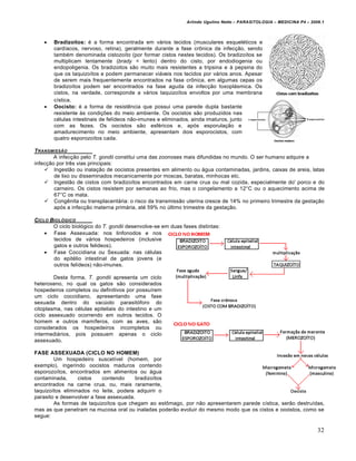 Arlindo Ugulino Netto – PARASITOLOGIA – MEDICINA P4 – 2009.1




       Bradizoítos: é a forma encontrada em vários tecidos (musculares esqueléticos e
        cardíacos, nervoso, retina), geralmente durante a fase crônica da infecção, sendo
        também denominada cistozoíto (por formar cistos nestes tecidos). Os bradizoítos se
        multiplicam lentamente (brady = lento) dentro do cisto, por endodiogenia ou
        endopoligenia. Os bradizoitos são muito mais resistentes a tripsina e à pepsina do
        que os taquizoítos e podem permanecer viáveis nos tecidos por vários anos. Apesar
        de serem mais frequentemente encontrados na fase crônica, em algumas cepas os
        bradizoítos podem ser encontrados na fase aguda da infecção toxoplásmica. Os
        cistos, na verdade, corresponde a vários taquizoítos envoltos por uma membrana
        cística.
       Oocisto: é a forma de resistência que possui uma parede dupla bastante
        resistente às condições do meio ambiente. Os oocistos são produzidos nas
        células intestinais de felídeos não-imunes e eliminados, ainda imaturos, junto
        com as fezes. Os oocistos são esféricos e, após esporulação e
        amadurecimento no meio ambiente, apresentam dois esporocistos, com
        quatro esporozoítos cada.

T RANSMISSƒO
        A infecção pelo T. gondii constitui uma das zoonoses mais difundidas no mundo. O ser humano adquire a
infecção por três vias principais:
     Ingestão ou inalação de oocistos presentes em alimento ou água contaminadas, jardins, caixas de areia, latas
        de lixo ou disseminados mecanicamente por moscas, baratas, minhocas etc.
     Ingestão de cistos com bradizoítos encontrados em carne crua ou mal cozida, especialmente do' porco e do
        carneiro. Os cistos resistem por semanas ao frio, mas o congelamento a 12°C ou o aquecimento acima de
        67°C os mata.
     Congênita ou transplacentária: o risco da transmissão uterina cresce de 14% no primeiro trimestre da gestação
        após a infecção materna primária, até 59% no último trimestre da gestação.

CICLO BIOL•GICO
       O ciclo biológico do T. gondii desenvolve-se em duas fases distintas:
     Fase Assexuada: nos linfonodos e nos
       tecidos de vários hospedeiros (inclusive
       gatos e outros felideos).
     Fase Coccidiana ou Sexuada: nas células
       do epitélio intestinal de gatos jovens (e
       outros felídeos) não-imunes.

        Desta forma, T. gondii apresenta um ciclo
heteroxeno, no qual os gatos são considerados
hospedeiros completos ou definitivos por possuírem
um ciclo coccidiano, apresentando uma fase
sexuada dentro do vacúolo parasitóforo do
citoplasma, nas células epiteliais do intestino e um
ciclo assexuado ocorrendo em outros tecidos. O
homem e outros mamíferos, com as aves, são
considerados os hospedeiros incompletos ou
intermediários, pois possuem apenas o ciclo
assexuado.

FASE ASSEXUADA (CICLO NO HOMEM)
        Um hospedeiro suscetível (homem, por
exemplo), ingerindo oocistos maduros contendo
esporozoítos, encontrados em alimentos ou água
contaminada,      cistos    contendo     bradizoítos
encontrados na carne crua, ou, mais raramente,
taquizoítos eliminados no leite, podera adquirir o
parasito e desenvolver a fase assexuada.
        As formas de taquizoítos que chegam ao estômago, por não apresentarem parede cística, serão destruídas,
mas as que penetram na mucosa oral ou inaladas poderão evoluir do mesmo modo que os cistos e oocistos, como se
segue:

                                                                                                                       32
 