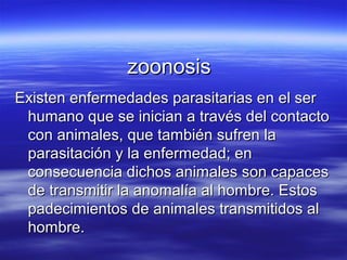 zoonosis
Existen enfermedades parasitarias en el ser
 humano que se inician a través del contacto
 con animales, que también sufren la
 parasitación y la enfermedad; en
 consecuencia dichos animales son capaces
 de transmitir la anomalía al hombre. Estos
 padecimientos de animales transmitidos al
 hombre.
 
