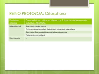 REINO PROTOZOA: Ciliosphora
Parásitos          Características : cilios en hileras con 2 tipos de núcleo en cada
ciliados           individuo, ASEXUAL
Balantidium coli   Se encuentra en los cerdos
                   En humanos puede producir: balantidiasis o disentería balantidiana
                   Diagnostico: Coproparasitologico seriado y colonoscopia
                   Tratamiento: metronidazol
Haemosporina       --
 