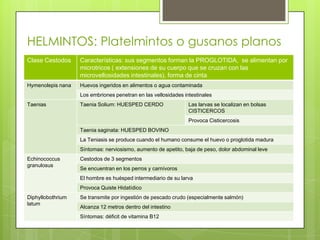 HELMINTOS: Platelmintos o gusanos planos
Clase Cestodos     Características: sus segmentos forman la PROGLOTIDA, se alimentan por
                   microtricos ( extensiones de su cuerpo que se cruzan con las
                   microvellosidades intestinales), forma de cinta
Hymenolepis nana   Huevos ingeridos en alimentos o agua contaminada
                   Los embriones penetran en las vellosidades intestinales
Taenias            Taenia Solium: HUESPED CERDO                 Las larvas se localizan en bolsas
                                                                CISTICERCOS
                                                                Provoca Cisticercosis
                   Taenia saginata: HUESPED BOVINO
                   La Teniasis se produce cuando el humano consume el huevo o proglotida madura
                   Síntomas: nerviosismo, aumento de apetito, baja de peso, dolor abdominal leve
Echinococcus       Cestodos de 3 segmentos
granulosus
                   Se encuentran en los perros y carnívoros
                   El hombre es huésped intermediario de su larva
                   Provoca Quiste Hidatídico
Diphyllobothrium   Se transmite por ingestión de pescado crudo (especialmente salmón)
latum
                   Alcanza 12 metros dentro del intestino
                   Síntomas: déficit de vitamina B12
 