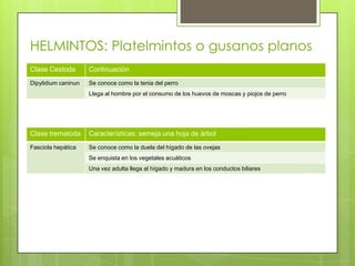 HELMINTOS: Platelmintos o gusanos planos
Clase Cestoda        Continuación
Dipylidium caninun   Se conoce como la tenia del perro
                     Llega al hombre por el consumo de los huevos de moscas y piojos de perro




Clase trematoda      Características: semeja una hoja de árbol
Fasciola hepática    Se conoce como la duela del hígado de las ovejas
                     Se enquista en los vegetales acuáticos
                     Una vez adulta llega al hígado y madura en los conductos biliares
 