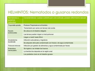 HELMINTOS: Nematodos o gusanos redondos
Nematodos o            Características: cuerpo cubierto por una cutícula, poseen diformismo sexual
gusanos
redondos
Triquinella spiralis   Produce Triquinosis en el hombre
                       Transmisión por carne con larvas mal cocida
Áscaris                Se ubica en el intestino delgado
lumbricoides
                       Las larvas pueden migrar a nivel pulmonar
                       Llegan a medir hasta 50cm
Ancylostoma            Infección subcutánea y migratoria
duodenale
                       Se adquiere del suelo contaminado con heces o de agua contaminada
Trichuris trichuria    Infección por gestión de alimentos y agua contaminada por heces
Enterobius             Se ingiere o se inhalan los huevos
vermicularis
                       La hembra los deposita en la región anal
                       Los parásitos viven en el intestino grueso
 