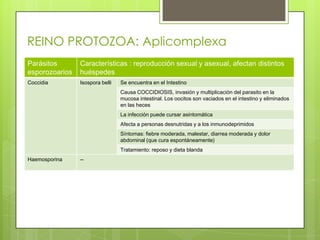 REINO PROTOZOA: Aplicomplexa
Parásitos       Características : reproducción sexual y asexual, afectan distintos
esporozoarios   huéspedes
Coccidia        Isospora belli   Se encuentra en el Intestino
                                 Causa COCCIDIOSIS, invasión y multiplicación del parasito en la
                                 mucosa intestinal. Los oocitos son vaciados en el intestino y eliminados
                                 en las heces
                                 La infección puede cursar asintomática
                                 Afecta a personas desnutridas y a los inmunodeprimidos
                                 Síntomas: fiebre moderada, malestar, diarrea moderada y dolor
                                 abdominal (que cura espontáneamente)
                                 Tratamiento: reposo y dieta blanda
Haemosporina    --
 