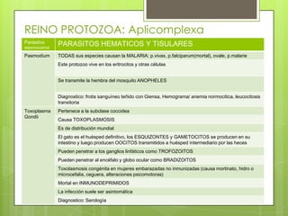 REINO PROTOZOA: Aplicomplexa
Parásitos
esporozoarios
                PARASITOS HEMATICOS Y TISULARES
Pasmodium       TODAS sus especies causan la MALARIA: p.vivax, p.falciparum(mortal), ovale, p.malarie
                Este protozoo vive en los eritrocitos y otras células


                Se transmite la hembra del mosquito ANOPHELES


                Diagnostico: frotis sanguíneo teñido con Giensa, Hemograma/ anemia normocitica, leucocitosis
                transitoria
Toxoplasma      Pertenece a la subclase coccidea
Gondii
                Causa TOXOPLASMOSIS
                Es de distribución mundial
                El gato es el huésped definitivo, los ESQUIZONTES y GAMETOCITOS se producen en su
                intestino y luego producen OOCITOS transmitidos a huésped intermediario por las heces
                Pueden penetrar a los ganglios linfáticos como TROFOZOITOS
                Pueden penetrar al encéfalo y globo ocular como BRADIZOITOS
                Toxolasmosis congénita en mujeres embarazadas no inmunizadas (causa mortinato, hidro o
                microcefalia, ceguera, alteraciones psicomotoras)
                Mortal en INMUNODEPRIMIDOS
                La infección suele ser asintomática
                Diagnostico: Serología
 
