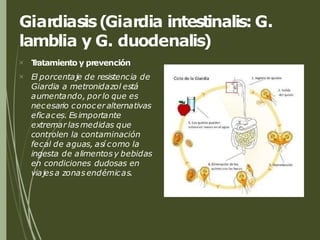 Giardiasis(Giardia intestinalis: G.
lamblia y G. duodenalis)


T
ratamiento y prevención
El porcentaje de resistencia de
Giardia a metronidazol está
aumentando, porlo que es
necesario conoceralternativas
eficaces. Esimportante
extremar lasmedidas que
controlen la contaminación
fecal de aguas, así como la
ingesta de alimentos y bebidas
en condiciones dudosas en
viajes a zonasendémicas.
 