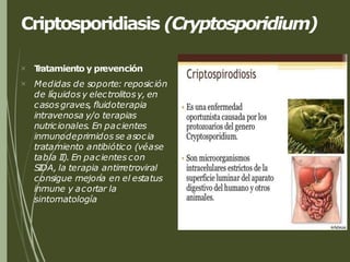 Criptosporidiasis (Cryptosporidium)


T
ratamiento y prevención
Medidas de soporte: reposición
de líquidos y electrolitos y, en
casosgraves, fluidoterapia
intravenosa y/o terapias
nutricionales. En pacientes
inmunodeprimidos se asocia
tratamiento antibiótico (véase
tabla II). En pacientes con
SIDA, la terapia antirretroviral
consigue mejoría en el estatus
inmune y acortar la
sintomatología
 