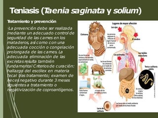 Teniasis (T
aenia saginata y solium)
T
ratamiento y prevención
La prevención debe ser realizada
mediante un adecuado control de
seguridad de las carnes en los
mataderos, así como con una
adecuada cocción o congelación
prolongada de las carnes. La
adecuada eliminación de las
excretas resulta también
fundamental Criteriosde curación:
hallazgo del escólex en materia
fecal tras tratamiento; examen de
heces negativo durante 3 meses
siguientes a tratamiento o
negativización de coproantígenos.
 