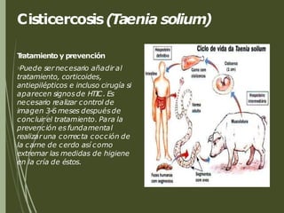 Cisticercosis(Taenia solium)
T
ratamiento y prevención
Puede ser necesario añadir al
tratamiento, corticoides,
antiepilépticos e incluso cirugía si
aparecen signos de HTIC. Es
necesario realizar control de
imagen 3-6 meses después de
concluir el tratamiento. Para la
prevención es fundamental
realizar una correcta cocción de
la carne de cerdo así como
extremar las medidas de higiene
en la cría de éstos.
 