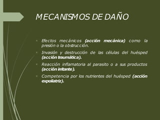 MECANISMOS DE DAÑO




Efectos mecánicos (acción mecánica) como la
presión o la obstrucción.
Invasión y destrucción de las células del huésped
(acción traumática).
Reacción inflamatoria al parasito o a sus productos
(acción irritante).
Competencia por los nutrientes del huésped (acción
expoliatriz).
 