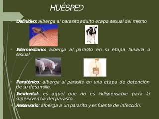 HUÉSPED
 Definitivo: alberga al parasito adulto etapa sexual del mismo
 I
ntermediario: alberga al parasito en su etapa larvaria o
sexual
 Paraténico: alberga al parasito en una etapa de detención
de su desarrollo.
 I
ncidental: es aquel que no es indispensable para la
supervivencia del parasito.
 Reservorio: alberga a un parasito y es fuente de infección.
 