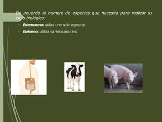  De acuerdo al numero de especies que necesita para realizar su
ciclo biológico:


Estenoxeno: utiliza una sola especie.
Eurixeno:utiliza varias especies.
 