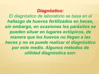 Diagnóstico: 
El diagnóstico de laboratorio se basa en el 
hallazgo de huevos fertilizados en heces, 
sin embargo, en ocasiones los parásitos se 
pueden situar en lugares ectópicos, de 
manera que los huevos no llegan a las 
heces y no se puede realizar el diagnóstico 
por este medio. Algunos métodos de 
utilidad diagnóstica son: 
 