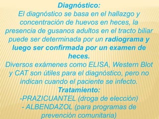 Diagnóstico: 
El diagnóstico se basa en el hallazgo y 
concentración de huevos en heces, la 
presencia de gusanos adultos en el tracto biliar 
puede ser determinada por un radiograma y 
luego ser confirmada por un examen de 
heces. 
Diversos exámenes como ELISA, Western Blot 
y CAT son útiles para el diagnóstico, pero no 
indican cuando el paciente se infecto. 
Tratamiento: 
-PRAZICUANTEL (droga de elección) 
- ALBENDAZOL (para programas de 
prevención comunitaria) 
 