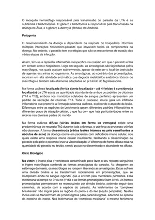 O mosquito hematófago responsável pela transmissão do parasito da LTA é as
subfamília Phlebotominae. O gênero Phlebotomus é responsável pela transmissão da
doença na Ásia, e o gênero Lutzomyia (fêmea), na América.
Patogenia
O desenvolvimento da doença é dependente da resposta do hospedeiro. Ocorrem
múltiplas interações hospedeiro-parasito que envolvem todos os componentes da
doença. No entanto, o parasito tem estratégias que são os mecanismos de evasão das
várias etapas da infecção.
Assim, tem-se a repsosta inflamatória inespecífica na ocasião em que o parasito entra
em contato com o hospedeiro. Logo em seguida, as amastigotas são fagocitadas pelos
macrófagos, nos quais acabam sobrevivendo, apesar de este ser o local de destruição
de agentes estranhos no organismo. As amastigotas, ao contrário das promastigotas,
mostram um alta atividade enzimática que degrada metabólitos exidativos tóxicos do
macrófago e também são altamente adaptadas ao pH ácido do fagolisossoma.
Na forma cutânea localizada (ferida aberta localizada – até 4 feridas é considerada
localizada) da LTA existe ua quantidade abundante de ambos os padrôes de citocinas
(Th1 e Th2), embora nos monócitos coletados de sangue periférico apresentem um
padrão de secreção de citocinas Th1. Todo o processo imune gera um infiltrado
inflamatório que promove a formação ulcerosa cutânea, explicando o aspecto da lesão.
Diferenças entre as espécies de Leishmania geram diferentes padrões inflamatórios e
diferentes graus de ativação celular, o que faz com que haja particularidades entre as
úlceras nas diversas partes do mundo.
Na forma cutânea difusa (várias lesões em forma de verrugas) existe uma
predominância de resposta Th2 durante toda a doença, o que leva ao processo crônico
não-ulceroso. A forma disseminada (várias lesões internas na pele semelhantes a
nódulos de acne) da doença ocorre em pacientes com deficiência imune celular, nos
quais existe uma resposta imune celular insuficiente, facilitando a disseminação do
parasito pela pele e podendo levar à visceralização. A diferença de forma difusa está na
quantidade do parasito no tecido, sendo pouco na disseminada e abundante na difusa.
Ciclo Biológico
No vetor: o inseto pica o vertebrado contaminado para fazer o seu repasto sanguíneo
e ingere macrófagos contendo as formas amastigotas do parasito. Ao chegarem ao
estômago do inseto, os macrófagos se rompem liberando as amastigotas. Estas sofrem
uma divisão binária e se transformam rapidamente em promastigotas, que se
multiplicam ainda no sangue ingerido, que é envolto pela membrana peritrófica. Esta
membrana se rompe no 3º ou no 4º dia e as formas promatigotas ficam livres. As formas
promastigotas permanecem se reproduzindo por divisão binária, podendo seguir dois
caminhos, de acordo com a espécie do parasito. As leishmanias do “complexo
brasiliensis” vão migrar para as regiões do piloro e do íleo (seção peripilária). Nestes
locais elas se transformam de promastigotas para paramastigotas, aderindo ao epitélio
do intestino do inseto. Nas leishmanias do “complexo mexicana” o mesmo fenômeno
 