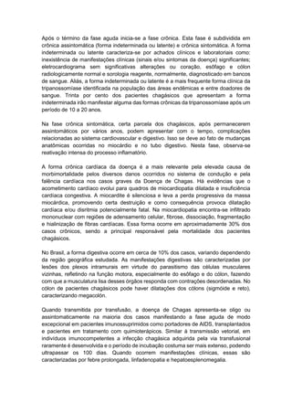 Após o término da fase aguda inicia-se a fase crônica. Esta fase é subdividida em
crônica assintomática (forma indeterminada ou latente) e crônica sintomática. A forma
indeterminada ou latente caracteriza-se por achados clínicos e laboratoriais como:
inexistência de manifestações clínicas (sinais e/ou sintomas da doença) significantes;
eletrocardiograma sem significativas alterações ou coração, esôfago e cólon
radiologicamente normal e sorologia reagente, normalmente, diagnosticado em bancos
de sangue. Aliás, a forma indeterminada ou latente é a mais frequente forma clínica da
tripanossomíase identificada na população das áreas endêmicas e entre doadores de
sangue. Trinta por cento dos pacientes chagásicos que apresentam a forma
indeterminada irão manifestar alguma das formas crônicas da tripanossomíase após um
período de 10 a 20 anos.
Na fase crônica sintomática, certa parcela dos chagásicos, após permanecerem
assintomáticos por vários anos, podem apresentar com o tempo, complicações
relacionadas ao sistema cardiovascular e digestivo. Isso se deve ao fato de mudanças
anatômicas ocorridas no miocárdio e no tubo digestivo. Nesta fase, observa-se
reativação intensa do processo inflamatório.
A forma crônica cardíaca da doença é a mais relevante pela elevada causa de
morbimortalidade pelos diversos danos ocorridos no sistema de condução e pela
falência cardíaca nos casos graves da Doença de Chagas. Há evidências que o
acometimento cardíaco evolui para quadros de miocardiopatia dilatada e insuficiência
cardíaca congestiva. A miocardite é silenciosa e leva a perda progressiva da massa
miocárdica, promovendo certa destruição e como consequência provoca dilatação
cardíaca e/ou disritmia potencialmente fatal. Na miocardiopatia encontra-se infiltrado
mononuclear com regiões de adensamento celular, fibrose, dissociação, fragmentação
e hialinização de fibras cardíacas. Essa forma ocorre em aproximadamente 30% dos
casos crônicos, sendo a principal responsável pela mortalidade dos pacientes
chagásicos.
No Brasil, a forma digestiva ocorre em cerca de 10% dos casos, variando dependendo
da região geográfica estudada. As manifestações digestivas são caracterizadas por
lesões dos plexos intramurais em virtude do parasitismo das células musculares
vizinhas, refletindo na função motora, especialmente do esôfago e do cólon, fazendo
com que a musculatura lisa desses órgãos responda com contrações desordenadas. No
cólon de pacientes chagásicos pode haver dilatações dos cólons (sigmóide e reto),
caracterizando megacolón.
Quando transmitida por transfusão, a doença de Chagas apresenta-se oligo ou
assintomaticamente na maioria dos casos manifestando a fase aguda de modo
excepcional em pacientes imunossuprimidos como portadores de AIDS, transplantados
e pacientes em tratamento com quimioterápicos. Similar à transmissão vetorial, em
indivíduos imunocompetentes a infecção chagásica adquirida pela via transfusional
raramente é desenvolvida e o período de incubação costuma ser mais extenso, podendo
ultrapassar os 100 dias. Quando ocorrem manifestações clínicas, essas são
caracterizadas por febre prolongada, linfadenopatia e hepatoesplenomegalia.
 