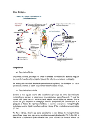 Ciclo Biológico
Diagnóstico
a) Diagnóstico Clínico
Origem do paciente, presença dos sinais de entrada, acompanhados de febre irregular
ou ausente, hepatoesplenomegalia, taquicardia, edema generalizado ou dos pés.
As alterações cardíacas (reveladas pelo eletrocardiograma), do esôfago e do cólon
(reveladas pelo raio X) fazem suspeitar da fase crônica da doença.
b) Diagnóstico Laboratorial
Durante a fase aguda, ocorre alta parasitemia (presença da forma tripomastigota
metacíclica no sangue) e presença de imunoglobulinas específicas anti- T. cruzi da
classe IgM. Neste período, recomenda-se exame parasitológico de sangue: lâmina
corada de gota espessa ou esfregaço, método enriquecido por concentração e a
pesquisa a fresco de tripanossomatídeos e exames sorológicos: hemaglutinação
indireta ou passiva (HAI), imunofluorescência indireta (IFI) e o método imunoenzimático
(ELISA).
Na fase crônica, observa-se baixa parasitemia e altos títulos de imunoglobulinas
específicas. Nesta fase, os exames sorológicos mais indicados são IFI, ELISA, HAI e
fixação do complemento (não utilizada mais pelos laboratórios da rede pública de
 
