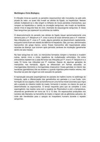 Morfologia e Ciclo Biológico
A infecção inicia-se quando os parasitos (esporozoítos) são inoculados na pele pela
picada do vetor, os quais irão invadir as células do fígado, os hepatócitos. Nessas
células multiplicam-se e dão origem a milhares de novos parasitos (merozoítos), que
rompem os hepatócitos e, caindo na circulação sanguínea, vão invadir as hemácias,
dando início à segunda fase do ciclo, chamada de esquizogonia sanguínea. É nessa
fase sanguínea que aparecem os sintomas da malária.
O desenvolvimento do parasito nas células do fígado requer aproximadamente uma
semana para o P. falciparum e P. vivax e cerca de duas semanas para o P. malariae.
Nas infecções por P. vivax e P. ovale, alguns parasitos se desenvolvem rapidamente,
enquanto outros ficam em estado de latência no hepatócito. São, por isso, denominados
hipnozoítos (do grego hipnos, sono). Esses hipnozoítos são responsáveis pelas
recaídas da doença, que ocorrem após períodos variáveis de incubação (geralmente
dentro de seis meses).
Na fase sanguínea do ciclo, os merozoítos formados rompem a hemácia e invadem
outras, dando início a ciclos repetitivos de multiplicação eritrocitária. Os ciclos
eritrocitários repetem-se a cada 48 horas nas infecções por P. vivax e P. falciparum e a
cada 72 horas nas infecções por P. malariae. Depois de algumas gerações de
merozoítos nas hemácias, alguns se diferenciam em formas sexuadas: os
macrogametas (feminino) e microgametas (masculino). Esses gametas no interior das
hemácias (gametócitos) não se dividem e, quando ingeridos pelos insetos vetores, irão
fecundar-se para dar origem ao ciclo sexuado do parasito.
A reprodução sexuada (esporogônica) do parasito da malária ocorre no estômago do
mosquito, após a diferenciação dos gametócitos em gametas e a sua fusão, com
formação do ovo (zigoto). Este se transforma em uma forma móvel (oocineto) que migra
até a parede do intestino médio do inseto, formando o oocisto, no interior do qual se
desenvolverão os esporozoítos. O tempo requerido para que se complete o ciclo
esporogônico nos insetos varia com a espécie de Plasmodium e com a temperatura,
situando-se geralmente em torno de 10 a 12 dias. Os esporozoítos produzidos nos
oocistos são liberados na hemolinfa do inseto e migram até as glândulas salivares, de
onde são transferidos para o sangue do hospedeiro humano durante o repasto
sangüíneo.
 
