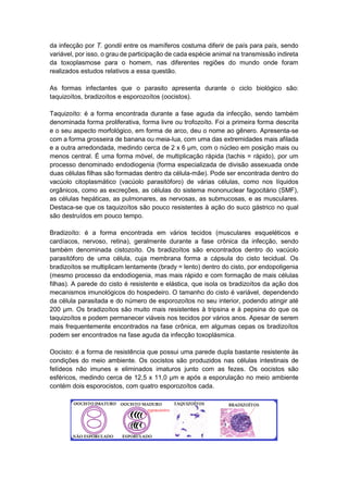 da infecção por T. gondii entre os mamíferos costuma diferir de país para país, sendo
variável, por isso, o grau de participação de cada espécie animal na transmissão indireta
da toxoplasmose para o homem, nas diferentes regiões do mundo onde foram
realizados estudos relativos a essa questão.
As formas infectantes que o parasito apresenta durante o ciclo biológico são:
taquizoítos, bradizoítos e esporozoítos (oocistos).
Taquizoíto: é a forma encontrada durante a fase aguda da infecção, sendo também
denominada forma proliferativa, forma livre ou trofozoíto. Foi a primeira forma descrita
e o seu aspecto morfológico, em forma de arco, deu o nome ao gênero. Apresenta-se
com a forma grosseira de banana ou meia-lua, com uma das extremidades mais afilada
e a outra arredondada, medindo cerca de 2 x 6 µm, com o núcleo em posição mais ou
menos central. É uma forma móvel, de multiplicação rápida (tachis = rápido), por um
processo denominado endodiogenia (forma especializada de divisão assexuada onde
duas células filhas são formadas dentro da célula-mãe). Pode ser encontrada dentro do
vacúolo citoplasmático (vacúolo parasitóforo) de várias células, como nos líquidos
orgânicos, como as excreções, as células do sistema mononuclear fagocitário (SMF),
as células hepáticas, as pulmonares, as nervosas, as submucosas, e as musculares.
Destaca-se que os taquizoítos são pouco resistentes à ação do suco gástrico no qual
são destruídos em pouco tempo.
Bradizoíto: é a forma encontrada em vários tecidos (musculares esqueléticos e
cardíacos, nervoso, retina), geralmente durante a fase crônica da infecção, sendo
também denominada cistozoíto. Os bradizoítos são encontrados dentro do vacúolo
parasitóforo de uma célula, cuja membrana forma a cápsula do cisto tecidual. Os
bradizoítos se multiplicam lentamente (brady = lento) dentro do cisto, por endopoligenia
(mesmo processo da endodiogenia, mas mais rápido e com formação de mais células
filhas). A parede do cisto é resistente e elástica, que isola os bradizoítos da ação dos
mecanismos imunológicos do hospedeiro. O tamanho do cisto é variável, dependendo
da célula parasitada e do número de esporozoítos no seu interior, podendo atingir até
200 µm. Os bradizoítos são muito mais resistentes à tripsina e à pepsina do que os
taquizoítos e podem permanecer viáveis nos tecidos por vários anos. Apesar de serem
mais frequentemente encontrados na fase crônica, em algumas cepas os bradizoítos
podem ser encontrados na fase aguda da infecção toxoplásmica.
Oocisto: é a forma de resistência que possui uma parede dupla bastante resistente às
condições do meio ambiente. Os oocistos são produzidos nas células intestinais de
felídeos não imunes e eliminados imaturos junto com as fezes. Os oocistos são
esféricos, medindo cerca de 12,5 x 11,0 µm e após a esporulação no meio ambiente
contém dois esporocistos, com quatro esporozoítos cada.
 