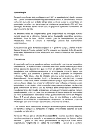 Epidemiologia
De acordo com Amato Neto e colaboradores (1982), a prevalência da infecção causada
pelo T. gondii é mais frequente em regiões quentes e úmidas. A prevalência da infecção
no homem aumenta com a idade, atinge todos os níveis sociais e é encontrado em
quase todos os países com porcentagem de positividade que varia entre 20% a 83% da
população. No Brasil, estima-se que 70% da população apresenta-se infectada, em
algum momento da vida.
As diferentes taxas de soroprevalência para toxoplasmose na população humana
mundial devem-se a diferentes fatores como: localização geográfica, condições
ambientais, tipos de fauna, hábitos culturais, grau de desenvolvimento do país,
infraestrutura hídrica e sanitária e metodologia utilizada nos levantamentos
epidemiológicos.
A prevalência de gatos domésticos expostos a T. gondii na Europa, América do Sul e
Estados Unidos da América varia de 9 a 46%, enquanto que na Ásia é de 6 a 9%, porém
estas taxas, dependem do tipo de alimentação e do hábito do animal de viver dentro ou
fora de casa.
Transmissão
A transmissão oral ocorre quando os oocistos ou cistos são ingeridos por hospedeiros
intermediários. Os esporozoítos ou bradizoítos infectam o epitélio intestinal produzindo
formas assexuadas (taquizoítos) que penetram em células nucleadas, desenvolvem
pseudocistos e se multiplicam rapidamente por endodiogenia, ocorrendo, assim, uma
infecção aguda, que dissemina o parasito por todo o organismo do hospedeiro
vertebrado. Após alguns dias da infecção sistêmica pelos taquizoítos, ocorre o
desenvolvimento de outro estágio do ciclo, a formação de cistos teciduais contendo
bradizoítos. Estes cistos podem se desenvolver em qualquer órgão visceral, incluindo
pulmões, fígado e baço, mas a maior prevalência tem sido verificada em tecidos neurais
e musculares, como cérebro, olhos e musculatura esquelética estriada ou cardíaca, nos
quais permanecem por toda a vida do indivíduo. Estes cistos teciduais também são
importantes fontes de infecção tanto para os animais carnívoros como para o homem,
quando ingeridos junto com carne crua ou mal cozida. Este mecanismo é o responsável
por vários surtos descritos na literatura como o que recentemente ocorreu em Anápolis-
Goiás. O T. gondii adaptou suas diferentes fases do ciclo biológico e pode infectar
hospedeiros com diferentes comportamentos alimentares: os herbívoros podem se
infectar pelo ciclo oral-oocistos e os carnívoros, pelo ciclo oral-tecidual.
O ser humano ainda pode adquirir a infecção de forma congênita ou transplacentária,
por transfusão sangüínea, transplante de órgãos e transmissão acidental por auto-
inoculação em laboratório.
As vias de infecção para o feto são: transplacentária – quando a gestante adquire a
toxoplasmose durante a gestação e, se apresentar a fase aguda da doença, poderá
transmitir T. gondii ao feto, tendo provavelmente os taquizoítos como formas
responsáveis; rompimento de cistos no endométrio – apesar de a gestante
 