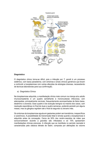 Diagnóstico
O diagnóstico clínico torna-se difícil, pois a infecção por T. gondii é um processo
sistêmico, com baixa parasitemia, com sintomas e sinais clínicos genéricos que levam
a confundir a toxoplasmose com outras afecções de etiologias diversas, necessitando
de técnicas laboratoriais para sua confirmação.
a) Diagnóstico Clínico
Na toxoplasmose adquirida, a manifestação clínica mais comum na criança e/ou adulto
imunocompetente é um quadro semelhante à mononucleose infecciosa, com
adenopatias, principalmente cervicais, frequentemente acompanhadas de febre baixa,
desâmino e anorexia. Esse quadro é de evolução benigna na maioria dos casos, com
resolução espontânea no final de duas a quatro semanas, podendo persistir por alguns
meses, mas os gânglios regridem até o final do segundo ou terceiro mês.
Os sintomas da toxoplasmose aguda em gestantes podem ser transitórios, inespecíficos
e subclínicos. A possibilidade de transmissão fetal é remota quando a toxoplasmose é
adquirida antes da concepção. Cerca de 50% dos recém-nascidos de mães que
soroconverteram durante a gravidez são infectados e só 10% apresentam
manifestações clínicas precoces. A infecção que se manifesta no período neonatal é
caracterizada pela clássica tétrade de Sabin, composta por alterações do volume
 