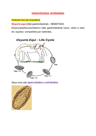 PARASITOLOGIA VETERINÁRIA
PARASITAS DE EQUINOS
Oxyuris equi (trato gastrointestinal) – NEMATODA
Esses parasitos acometemo trato gastrointestinal (ceco, cólon e reto)
de equinos competindo por nutrientes.
Seus ovos são operculados e achatados
 