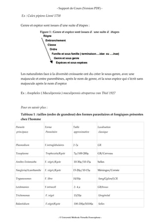 - Support de Cours (Version PDF) -
Ex : Culex pipiens Linné 1758
Genre et espèce sont issues d’une suite d’étapes :
Figure 1 : Genre et espèce sont issues d’une suite d’étapes
Les naturalistes face à la diversité croissante ont du créer le sous-genre, avec une
majuscule et entre parenthèses, après le nom de genre, et la sous espèce qui s’écrit sans
majuscule après le nom d’espèce
Ex : Anopheles ( Maculipennia ) maculipennis atroparvus van Thiel 1927
Pour en savoir plus :
Tableau 1 : tailles (ordre de grandeur) des formes parasitaires et fongiques présentes
chez l'homme
Parasite
principaux
Forme
Parasitaire
Taille
approximative
Localisation
classique
Plasmodium F.intraglobulaires 2-7µ GR
Toxoplasme Trophozoite/Kyste 7µ/100-200µ GB/Cerveau
Amibes Entamoeba F. véget./Kyste 10-30µ/10-15µ Selles
Naegleria/Acanthamibe F. véget./Kyste 15-20µ/10-15µ Méninges/Cornée
Trypanosomes F. libre 10/30µ Sang/Gglion/LCR
Leishmanies F.intracell 2- 4 µ GB/tissus
Trichomonas F. véget 15/20µ Urogénital
Balantidium F.véget/Kyste 100-200µ/50100µ Selles
- © Université Médicale Virtuelle Francophone -
 