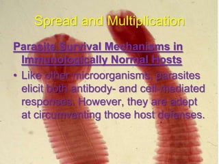 Spread and Multiplication
Parasite Survival Mechanisms in
Immunologically Normal Hosts
• Like other microorganisms, parasites
elicit both antibody- and cell-mediated
responses. However, they are adept
at circumventing those host defenses.

 