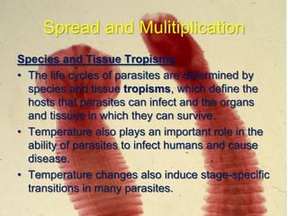 Spread and Mulitiplication
Species and Tissue Tropisms
• The life cycles of parasites are determined by
species and tissue tropisms, which define the
hosts that parasites can infect and the organs
and tissues in which they can survive.
• Temperature also plays an important role in the
ability of parasites to infect humans and cause
disease.
• Temperature changes also induce stage-specific
transitions in many parasites.

 