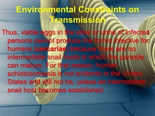 Environmental Constraints on
Transmission
Thus, viable eggs in the stool or urine of infected
persons cannot produce the forms infective for
humans (cercariae) because there are no
intermediate snail hosts in which the parasite
can mature. For that reason, human
schistosomiasis is not endemic in the United
States and will not be, unless an intermediate
snail host becomes established.

 