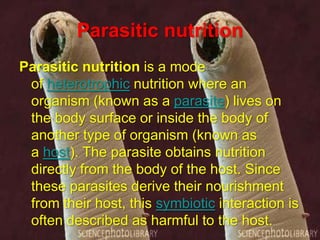 Parasitic nutrition
Parasitic nutrition is a mode
of heterotrophic nutrition where an
organism (known as a parasite) lives on
the body surface or inside the body of
another type of organism (known as
a host). The parasite obtains nutrition
directly from the body of the host. Since
these parasites derive their nourishment
from their host, this symbiotic interaction is
often described as harmful to the host.

 