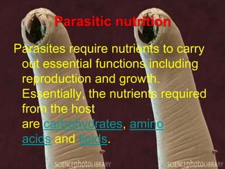 Parasitic nutrition
Parasites require nutrients to carry
out essential functions including
reproduction and growth.
Essentially, the nutrients required
from the host
are carbohydrates, amino
acids and lipids.

 