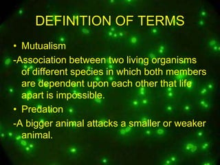 DEFINITION OF TERMS
• Mutualism
-Association between two living organisms
of different species in which both members
are dependent upon each other that life
apart is impossible.
• Predation
-A bigger animal attacks a smaller or weaker
animal.

 