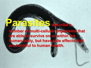 Parasites describe a
number of multi-cellular organisms that
are able to survive on or within the
human body, but have side effects that
are harmful to human health.

 