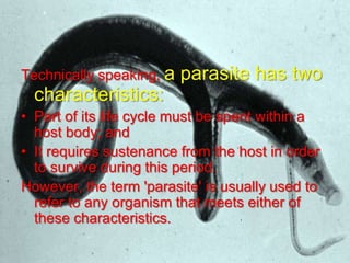 Technically speaking, a

parasite has two

characteristics:
• Part of its life cycle must be spent within a
host body; and
• It requires sustenance from the host in order
to survive during this period.
However, the term 'parasite' is usually used to
refer to any organism that meets either of
these characteristics.

 