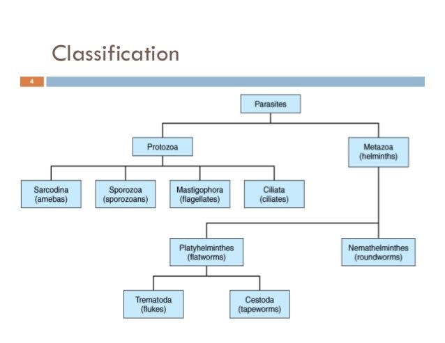 Review of Parasitology