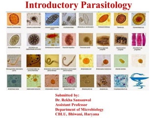 Introductory Parasitology
Submitted by:
Dr. Rekha Sansanwal
Assistant Professor
Department of Microbiology
CBLU, Bhiwani, Haryana
 