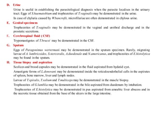 D. Urine
Urine is useful in establishing the parasitological diagnosis when the parasite localises in the urinary
tract. Eggs of S.haematobium and trophozoites of T.vaginalis may be demonstrated in the urine.
In case of chyluria caused by W.bancrofti, microfilariae are often demonstrated in chylous urine.
E. Genital specimens
Trophozoites of T.vaginalis may be demonstrated in the vaginal and urethral discharge and in the
prostatic secretions.
F. Cerebrospinal fluid ( CSF)
Trypomastigotes of T.brucei may be demonstrated in the CSF.
G. Sputum
Eggs of Paragonimus wertermani may be demonstrated in the sputum specimen. Rarely, migrating
larvae of A. lumbricoides, S.stercoralis, A.duodenale and N.americanus, and trophozoites of E.histolytica
may be found in the sputum.
H. Tissue biopsy and aspiration
Scolices and brood capsules may be demonstrated in the fluid aspirated from hydatid cyst.
Amastigote forms of L.donovani may be demonstated inside the reticuloendothelial cells in the aspirates
of spleen, bone marrow, liver and lymph nodes.
Larvae of T.spiralis,T.solium and T.multiceps may be demonstrated in the muscle biopsy.
Trophozoites of G.lamblia may be demonstrated in the bile aspirated from duodenum by intubation.
Trophozoites of E.histolytica may be demonstrated in pus aspirated from amoebic liver abscess and in
the necrotic tissue obtained from the base of the ulcers in the large intestine.
 