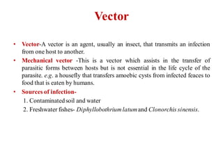 Vector
• Vector-A vector is an agent, usually an insect, that transmits an infection
from one host to another.
• Mechanical vector -This is a vector which assists in the transfer of
parasitic forms between hosts but is not essential in the life cycle of the
parasite. e.g. a housefly that transfers amoebic cysts from infected feaces to
food that is eaten by humans.
• Sources of infection-
1. Contaminatedsoil and water
2. Freshwater fishes- Diphyllobothriumlatumand Clonorchis sinensis.
 