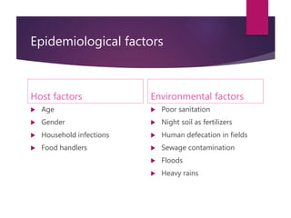 Epidemiological factors
Host factors
 Age
 Gender
 Household infections
 Food handlers
Environmental factors
 Poor sanitation
 Night soil as fertilizers
 Human defecation in fields
 Sewage contamination
 Floods
 Heavy rains
 