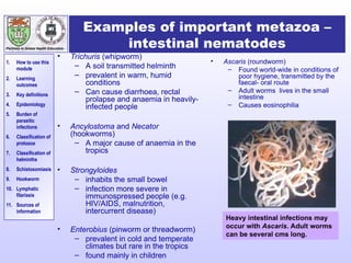 Threadworm Taxonomy Parasitology.ppt introduction notes for mls | PPT
