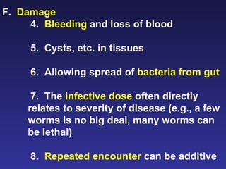 F.  Damage   4.  Bleeding  and loss of blood 5.  Cysts, etc. in tissues 6.  Allowing spread of  bacteria from gut 7.  The  infective dose  often directly relates to severity of disease (e.g., a few worms is no big deal, many worms can be lethal) 8.  Repeated encounter  can be additive  
