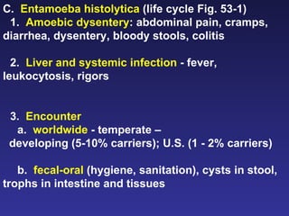 C.  Entamoeba histolytica  (life cycle Fig. 53-1) 1.  Amoebic dysentery : abdominal pain, cramps, diarrhea, dysentery, bloody stools, colitis 2.  Liver and systemic infection  - fever, leukocytosis, rigors 3.  Encounter   a.  worldwide  - temperate –  developing (5-10% carriers); U.S. (1 - 2% carriers) b.  fecal-oral  (hygiene, sanitation), cysts in stool, trophs in intestine and tissues 