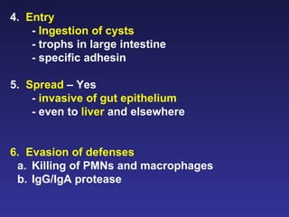 4.  Entry   -  Ingestion of cysts - trophs in large intestine - specific adhesin 5.  Spread  – Yes -  invasive of gut epithelium - even to  liver  and elsewhere 6.  Evasion of defenses a. Killing of PMNs and macrophages b. IgG/IgA protease 