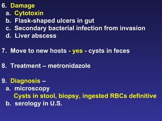 6.  Damage a.  Cytotoxin b.  Flask-shaped ulcers in gut c.  Secondary bacterial infection from invasion d.  Liver abscess 7.  Move to new hosts -  yes  - cysts in feces 8.  Treatment – metronidazole 9.  Diagnosis  –  a.  microscopy Cysts in stool, biopsy, ingested RBCs definitive b.  serology in U.S. 