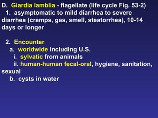 D.  Giardia lamblia  - flagellate (life cycle Fig. 53-2) 1.  asymptomatic to mild diarrhea to severe diarrhea (cramps, gas, smell, steatorrhea), 10-14 days or longer 2.  Encounter a.  worldwide  including U.S. i.  sylvatic  from animals ii.  human-human fecal-oral , hygiene, sanitation, sexual b.  cysts in water 
