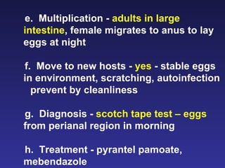e.  Multiplication -  adults in large intestine , female migrates to anus to lay eggs at night f.  Move to new hosts -  yes  - stable eggs in environment, scratching, autoinfection  prevent by cleanliness g.  Diagnosis -  scotch tape test – eggs  from perianal region in morning h.  Treatment - pyrantel pamoate, mebendazole 