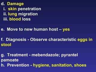 d.  Damage i.  skin  penetration ii.  lung  migration iii.  blood  loss e.  Move to new human host –  yes f.  Diagnosis - Observe characteristic  eggs in stool g.  Treatment - mebendazole; pyrantel pamoate h.  Prevention -  hygiene, sanitation, shoes 